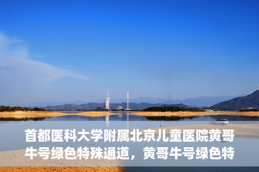 首都医科大学附属北京儿童医院黄哥牛号绿色特殊通道，黄哥牛号绿色特殊通道——北京儿童医院创新医疗服务的探索与实践