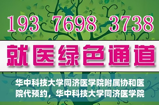 华中科技大学同济医学院附属协和医院代预约，华中科技大学同济医学院附属协和医院便捷代预约服务解析