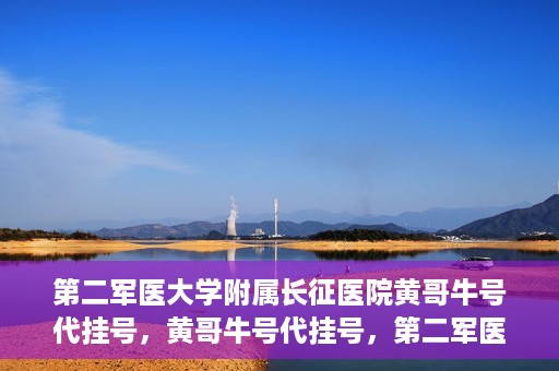 第二军医大学附属长征医院黄哥牛号代挂号，黄哥牛号代挂号，第二军医大学附属长征医院的便捷就医之路