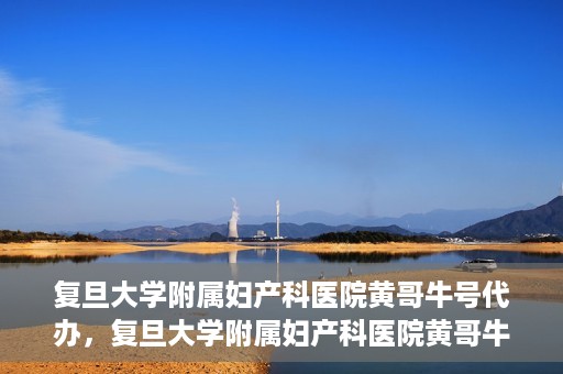 复旦大学附属妇产科医院黄哥牛号代办，复旦大学附属妇产科医院黄哥牛号代办，专业医疗服务的信誉之选