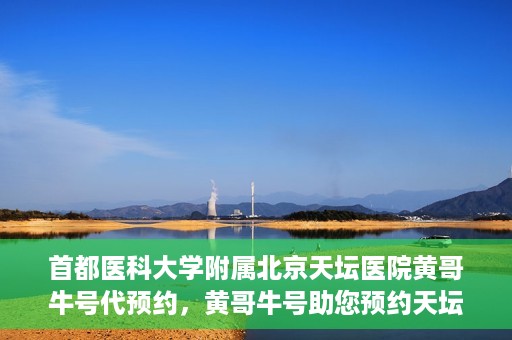 首都医科大学附属北京天坛医院黄哥牛号代预约，黄哥牛号助您预约天坛医院——权威医疗预约服务体验