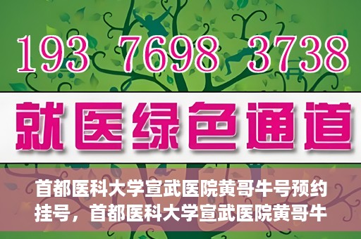 首都医科大学宣武医院黄哥牛号预约挂号，首都医科大学宣武医院黄哥牛号，预约挂号攻略