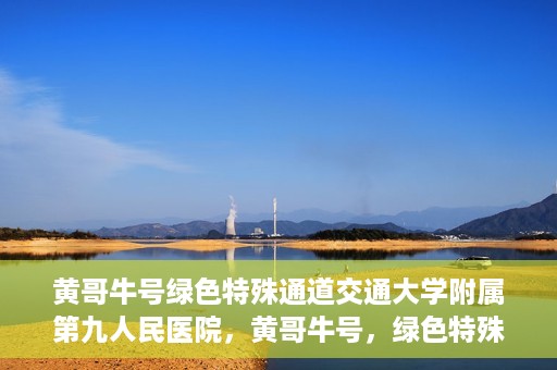 黄哥牛号绿色特殊通道交通大学附属第九人民医院，黄哥牛号，绿色特殊通道下的交通大学附属第九人民医院新篇章