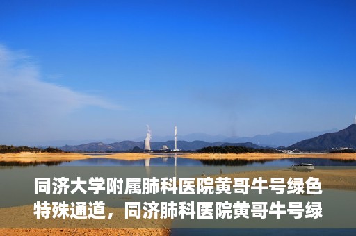 同济大学附属肺科医院黄哥牛号绿色特殊通道，同济肺科医院黄哥牛号绿色特殊通道揭秘