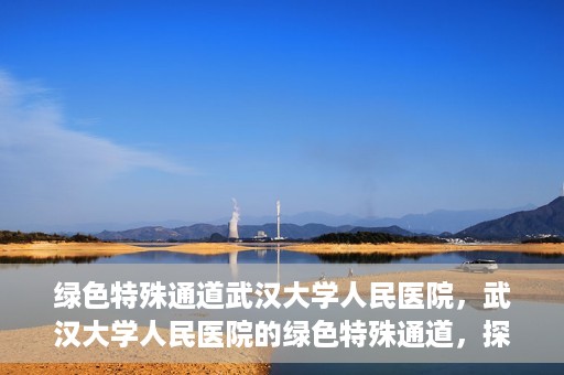 绿色特殊通道武汉大学人民医院，武汉大学人民医院的绿色特殊通道，探索与实践