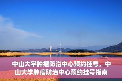 中山大学肿瘤防治中心预约挂号，中山大学肿瘤防治中心预约挂号指南