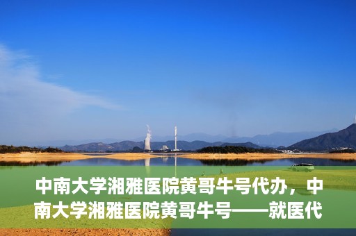中南大学湘雅医院黄哥牛号代办，中南大学湘雅医院黄哥牛号——就医代办服务详解