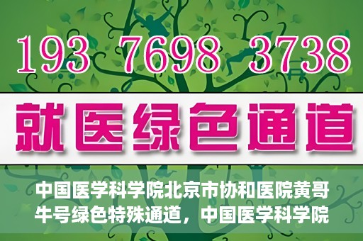 中国医学科学院北京市协和医院黄哥牛号绿色特殊通道，中国医学科学院北京市协和医院黄哥牛号，绿色特殊通道开启健康之门