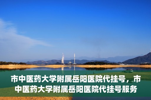 市中医药大学附属岳阳医院代挂号，市中医药大学附属岳阳医院代挂号服务解析