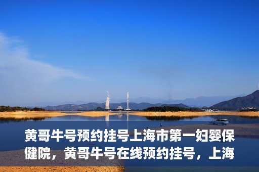 黄哥牛号预约挂号上海市第一妇婴保健院，黄哥牛号在线预约挂号，上海市第一妇婴保健院的便捷就医之旅