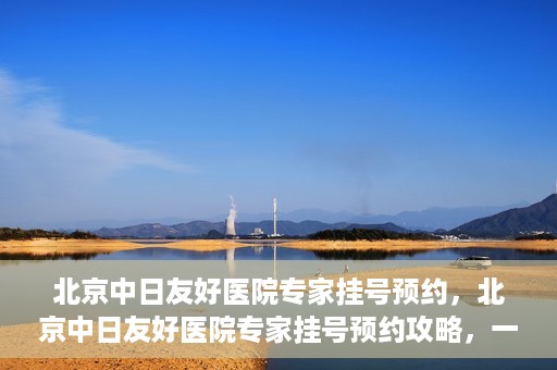 北京中日友好医院专家挂号预约，北京中日友好医院专家挂号预约攻略，一站式解决您的就医难题