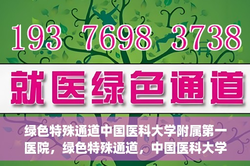 绿色特殊通道中国医科大学附属第一医院，绿色特殊通道，中国医科大学附属第一医院探索前行