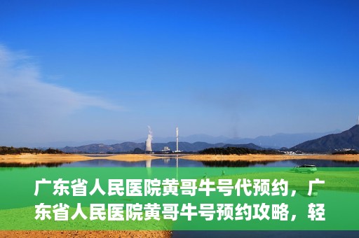 广东省人民医院黄哥牛号代预约，广东省人民医院黄哥牛号预约攻略，轻松掌握预约流程