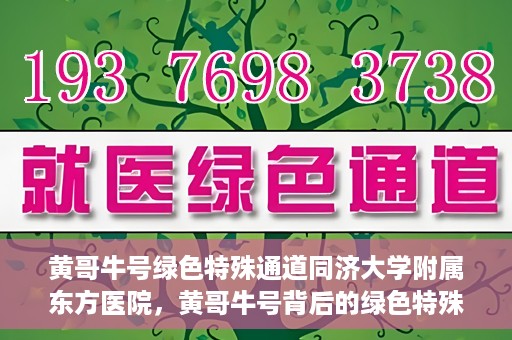 黄哥牛号绿色特殊通道同济大学附属东方医院，黄哥牛号背后的绿色特殊通道，同济大学附属东方医院的探索与实践