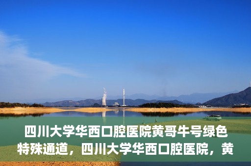 四川大学华西口腔医院黄哥牛号绿色特殊通道，四川大学华西口腔医院，黄哥牛号绿色特殊通道揭秘