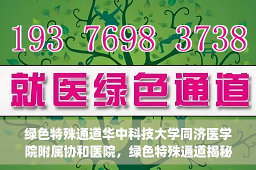绿色特殊通道华中科技大学同济医学院附属协和医院，绿色特殊通道揭秘，华中科技大学同济医学院附属协和医院的故事