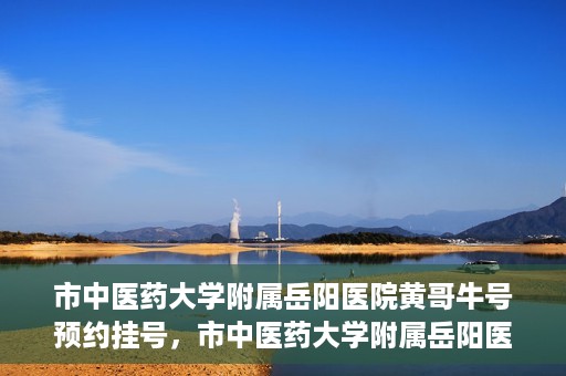 市中医药大学附属岳阳医院黄哥牛号预约挂号，市中医药大学附属岳阳医院黄哥牛号预约挂号攻略