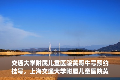 交通大学附属儿童医院黄哥牛号预约挂号，上海交通大学附属儿童医院黄哥牛儿科专家预约挂号攻略