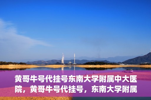 黄哥牛号代挂号东南大学附属中大医院，黄哥牛号代挂号，东南大学附属中大医院的医疗新风尚