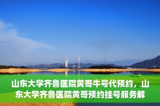 山东大学齐鲁医院黄哥牛号代预约，山东大学齐鲁医院黄哥预约挂号服务解析