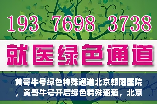 黄哥牛号绿色特殊通道北京朝阳医院，黄哥牛号开启绿色特殊通道，北京朝阳医院助力健康之路