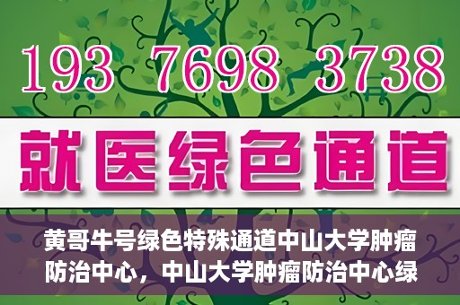 黄哥牛号绿色特殊通道中山大学肿瘤防治中心，中山大学肿瘤防治中心绿色特殊通道，黄哥牛号引领健康新航向