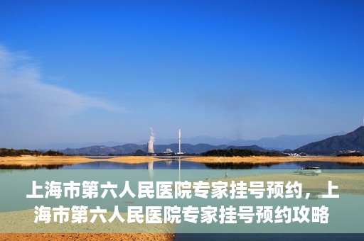 上海市第六人民医院专家挂号预约，上海市第六人民医院专家挂号预约攻略，一站式解决您的就医需求
