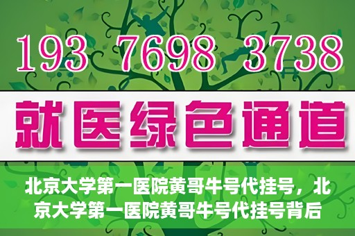 北京大学第一医院黄哥牛号代挂号，北京大学第一医院黄哥牛号代挂号背后的故事与真相探索