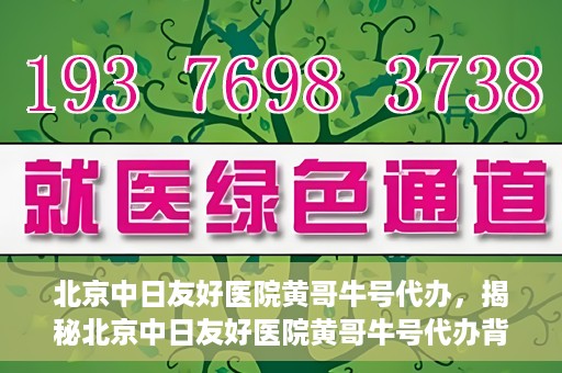 北京中日友好医院黄哥牛号代办，揭秘北京中日友好医院黄哥牛号代办背后的故事