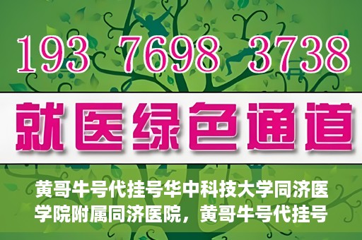 黄哥牛号代挂号华中科技大学同济医学院附属同济医院，黄哥牛号代挂号背后的同济医院就医故事