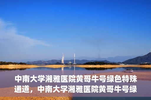 中南大学湘雅医院黄哥牛号绿色特殊通道，中南大学湘雅医院黄哥牛号绿色特殊通道，医疗服务的创新实践与人文关怀的体现