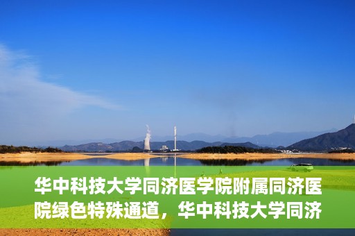 华中科技大学同济医学院附属同济医院绿色特殊通道，华中科技大学同济医院特殊绿色通道的奥秘与力量