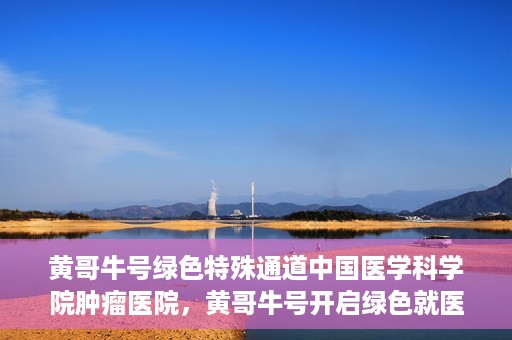 黄哥牛号绿色特殊通道中国医学科学院肿瘤医院，黄哥牛号开启绿色就医通道，中国医学科学院肿瘤医院专注诊疗新篇章