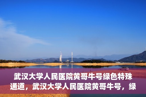 武汉大学人民医院黄哥牛号绿色特殊通道，武汉大学人民医院黄哥牛号，绿色特殊通道开启