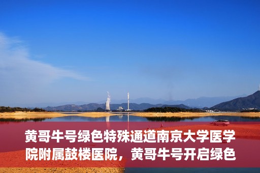 黄哥牛号绿色特殊通道南京大学医学院附属鼓楼医院，黄哥牛号开启绿色特殊通道，鼓楼医院展现医疗新力量