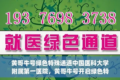 黄哥牛号绿色特殊通道中国医科大学附属第一医院，黄哥牛号开启绿色特殊通道，中国医科大学附属第一医院助力健康中国行动