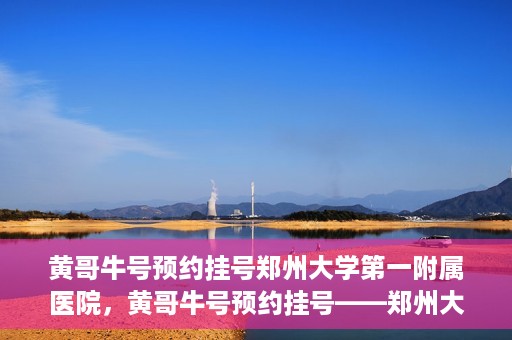 黄哥牛号预约挂号郑州大学第一附属医院，黄哥牛号预约挂号——郑州大学第一附属医院就医新体验