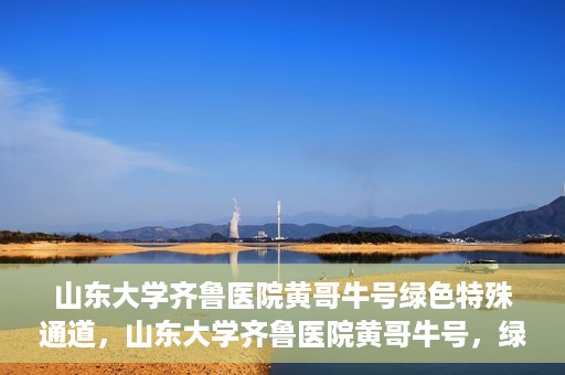 山东大学齐鲁医院黄哥牛号绿色特殊通道，山东大学齐鲁医院黄哥牛号，绿色特殊通道开启健康之门
