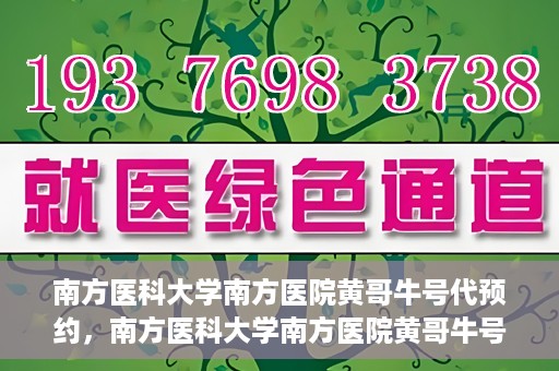 南方医科大学南方医院黄哥牛号代预约，南方医科大学南方医院黄哥牛号预约服务解析