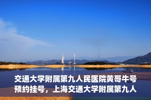 交通大学附属第九人民医院黄哥牛号预约挂号，上海交通大学附属第九人民医院黄哥名医号预约挂号攻略