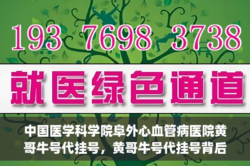 中国医学科学院阜外心血管病医院黄哥牛号代挂号，黄哥牛号代挂号背后的故事，阜外心血管病医院的探索与挑战