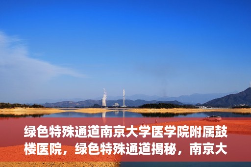 绿色特殊通道南京大学医学院附属鼓楼医院，绿色特殊通道揭秘，南京大学医学院附属鼓楼医院的探索与实践