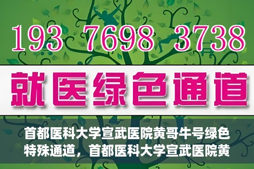 首都医科大学宣武医院黄哥牛号绿色特殊通道，首都医科大学宣武医院黄哥牛号，绿色特殊通道开启健康之门