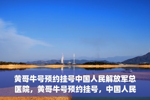 黄哥牛号预约挂号中国人民解放军总医院，黄哥牛号预约挂号，中国人民解放军总医院就医新体验