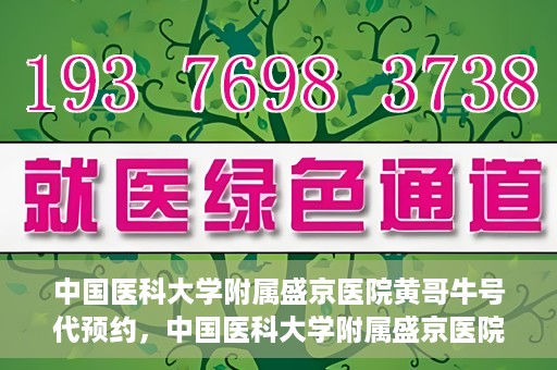中国医科大学附属盛京医院黄哥牛号代预约，中国医科大学附属盛京医院黄哥牛号预约服务解析