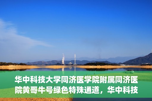 华中科技大学同济医学院附属同济医院黄哥牛号绿色特殊通道，华中科技大学同济医院黄哥牛号绿色特殊通道揭秘