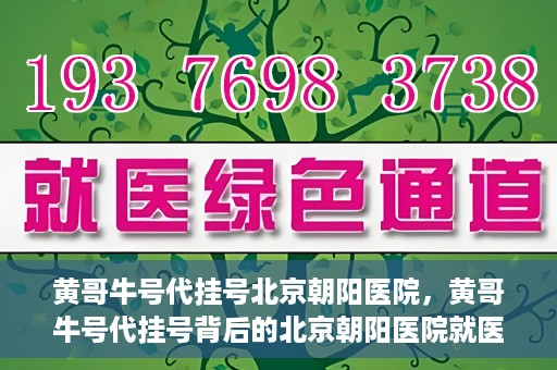 黄哥牛号代挂号北京朝阳医院，黄哥牛号代挂号背后的北京朝阳医院就医现象观察