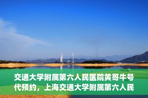 交通大学附属第六人民医院黄哥牛号代预约，上海交通大学附属第六人民医院黄哥牛号预约服务启动