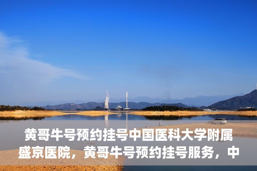 黄哥牛号预约挂号中国医科大学附属盛京医院，黄哥牛号预约挂号服务，中国医科大学附属盛京医院便捷就医新体验