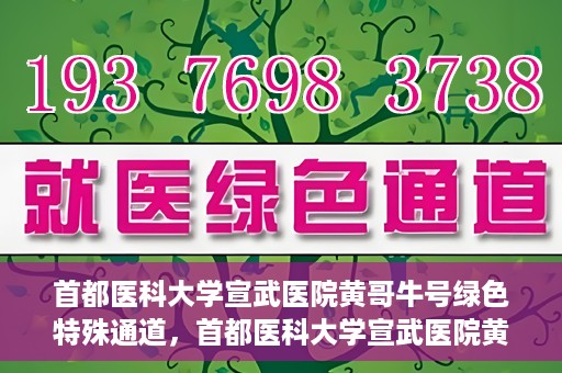 首都医科大学宣武医院黄哥牛号绿色特殊通道，首都医科大学宣武医院黄哥牛号，绿色特殊通道开启健康之门